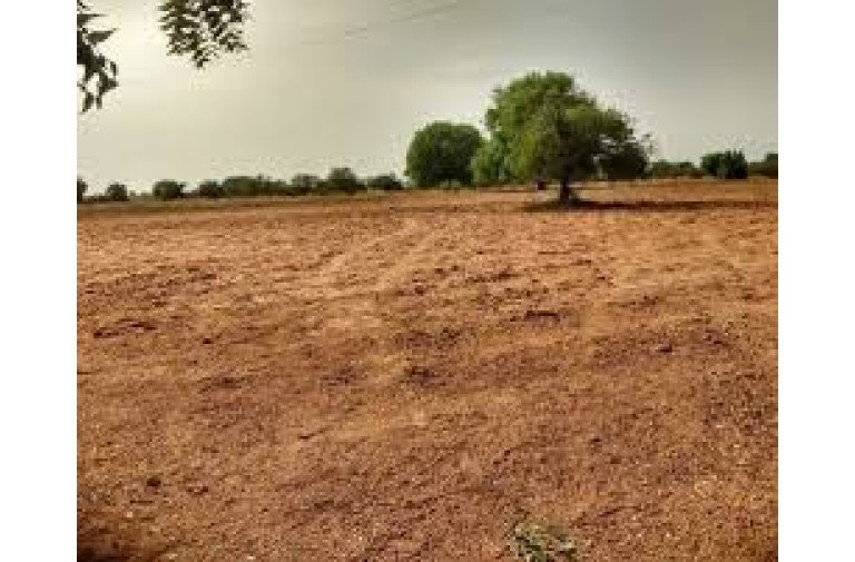 5 acre  agriculture land for sale . 